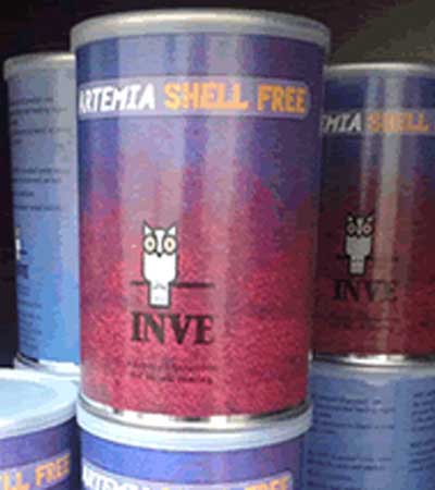 ARTEMIA SHELL FREE